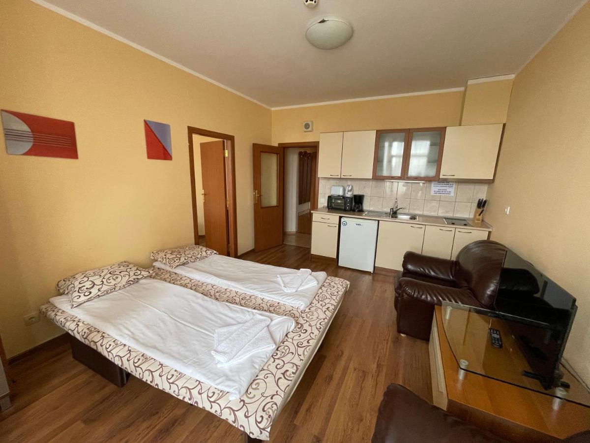 Borovets Holiday Apartments - Different Locations In Borowec Zewnętrze zdjęcie